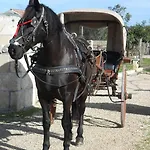 Masseria Sucea * Мартано