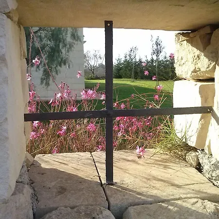 Masseria Sucea مزرعة للإقامة *