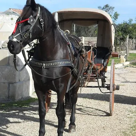 Masseria Sucea * مارتانو