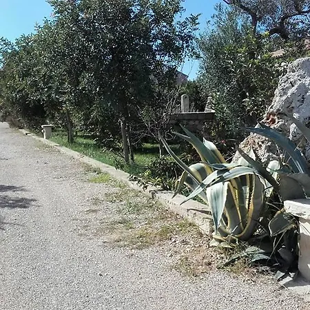 Masseria Sucea مزرعة للإقامة *