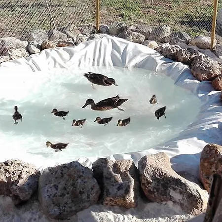 مزرعة للإقامة Masseria Sucea مارتانو