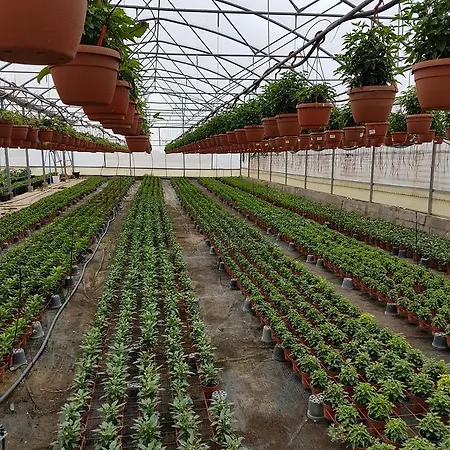 مزرعة للإقامة Masseria Sucea مارتانو