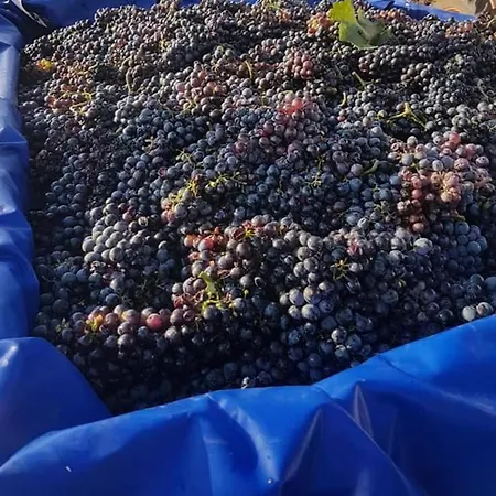 مزرعة للإقامة Masseria Sucea مارتانو