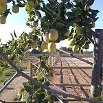 Masseria Sucéa Agroturismo Martano