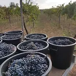 Alojamento de Turismo Rural Masseria Sucea *