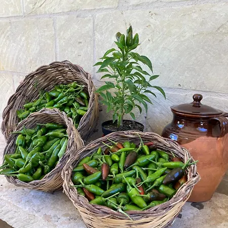 Masseria Sucea