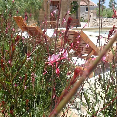 Masseria Sucea Séjour à la ferme