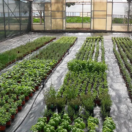 Masseria Sucea Farm stay Martano