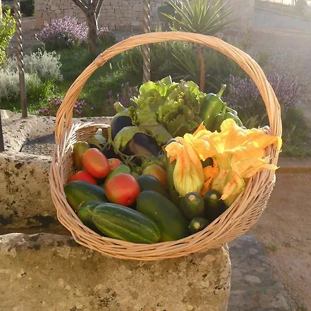 Masseria Sucea Farm stay Martano