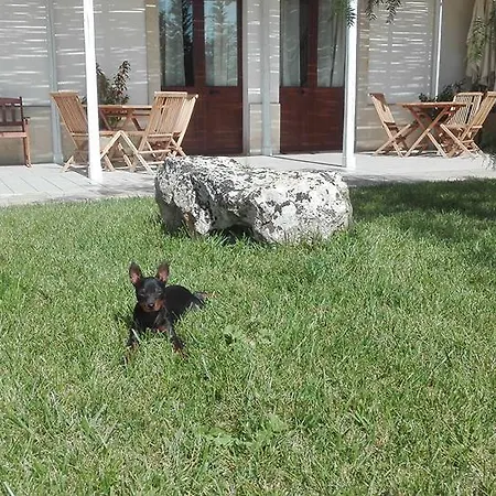 Masseria Sucea Martano