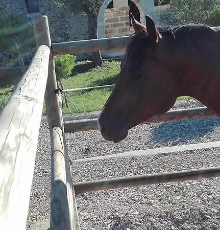 Séjour à la ferme Masseria Sucea Martano