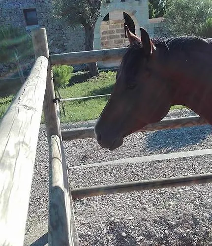 مزرعة للإقامة Masseria Sucea مارتانو