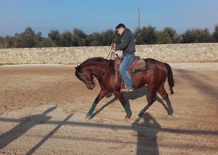 Masseria Sucéa Agroturismo Martano